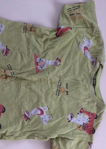 Erkek çocuk tişört - Görsel 5