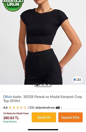 Dilvin Siyah crop