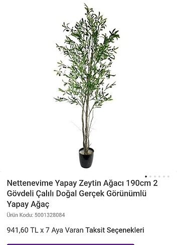 Yapay zeytin ağacı 
