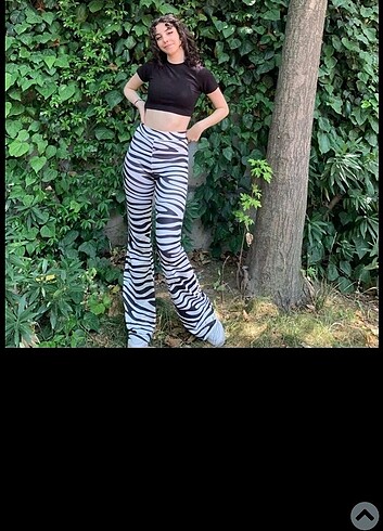 Zebra pantolunss