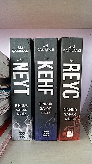 Asi Çakıltaşı Kitap Serisi