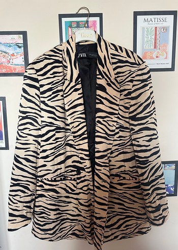 Zara Zebra Desenli Siklik