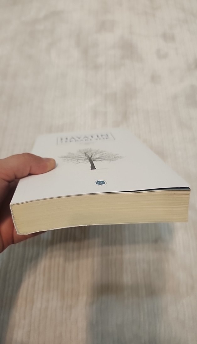 Hayatın Tekrarı Yok - Ulfet Çorgoğlu - Görsel 2