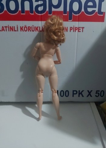 Beden sonsuz barbie