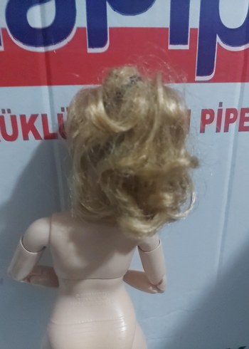 Beden Renk sonsuz barbie