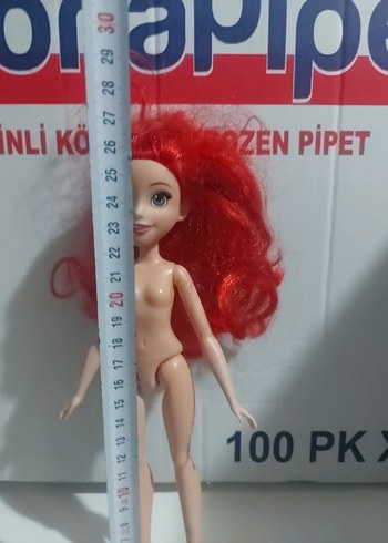 Beden Renk ariel bebek