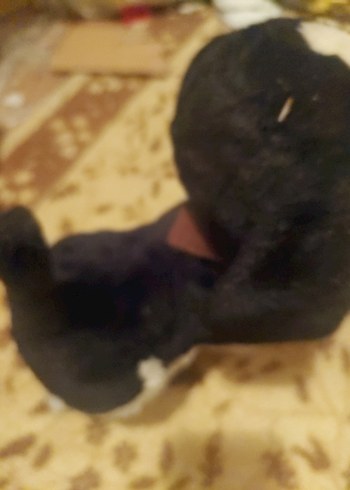 oyuncak köpek - Görsel 3