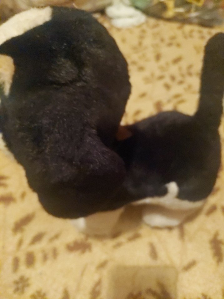 oyuncak köpek - Görsel 2