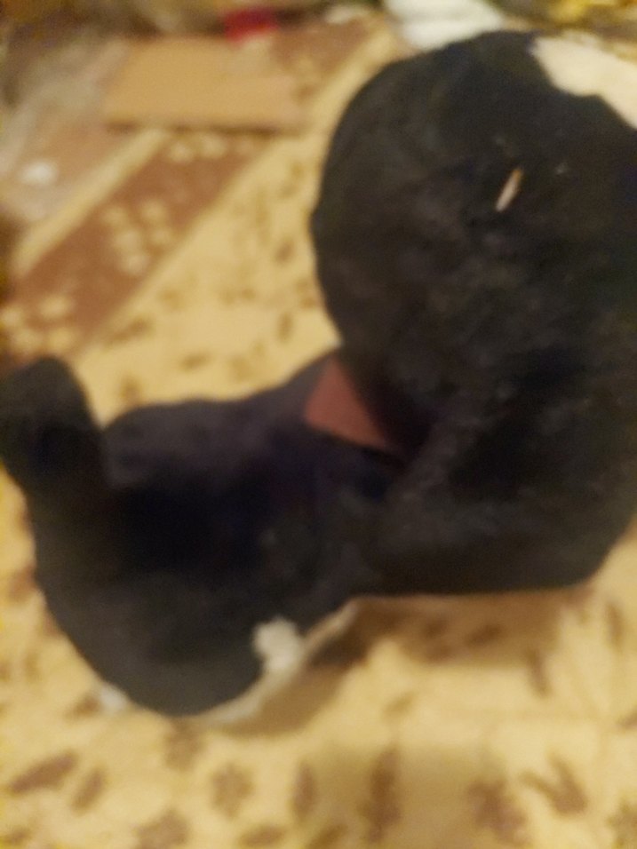 oyuncak köpek - Görsel 3