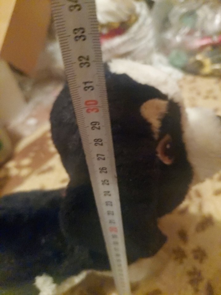 oyuncak köpek - Görsel 5