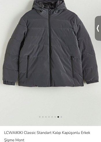 Gri Kapüşonlu Erkek Mont - Görsel 2