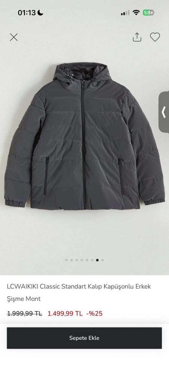 Gri Kapüşonlu Erkek Mont - Görsel 2