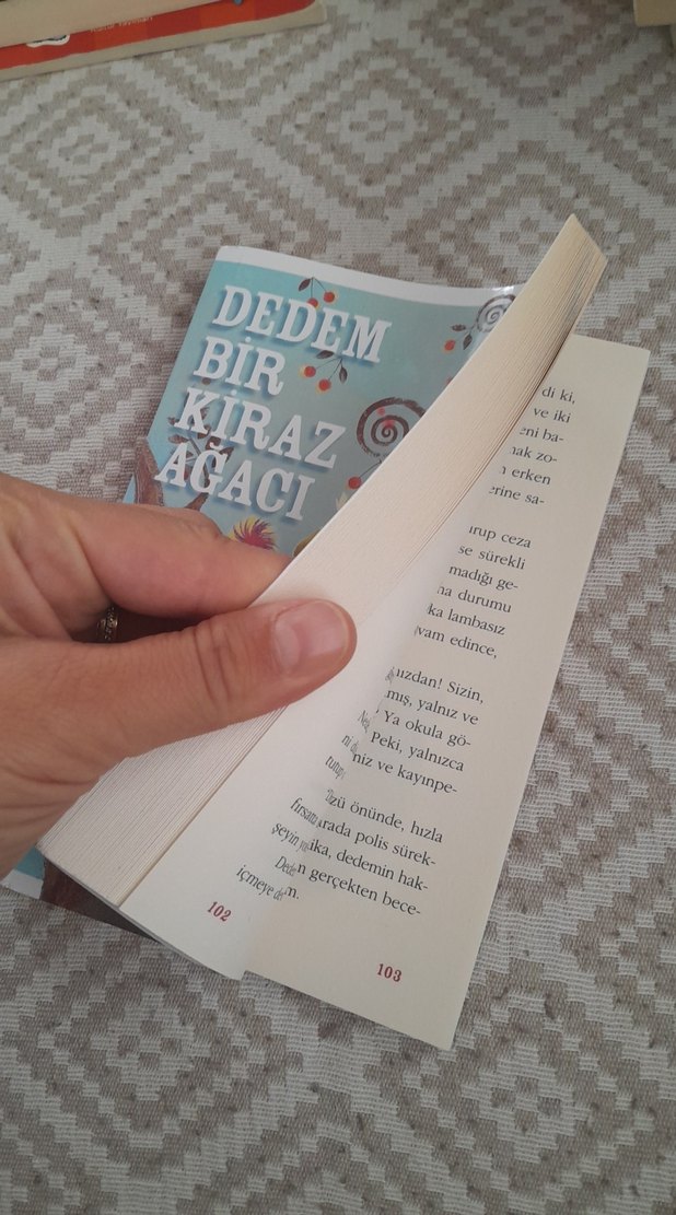 Dedem Bir Kiraz Ağacı - Angela Nanetti - Görsel 3