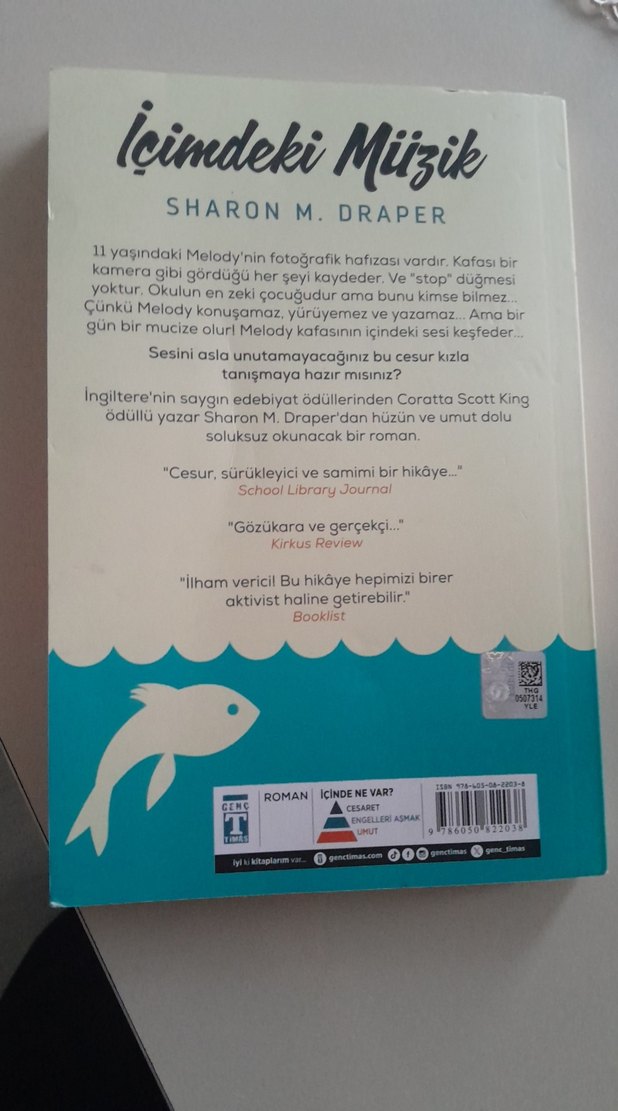 İçimdeki Müzik - Sharon M. Draper - Görsel 3