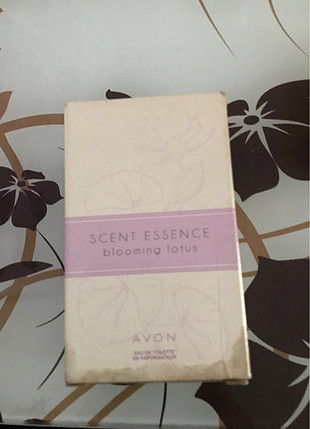 Avon blooming 