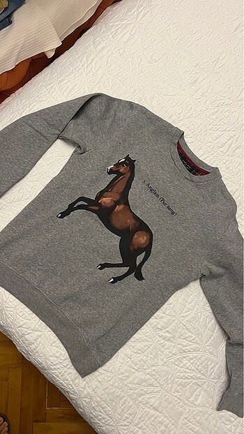 ZARA sweatshirt