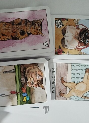 Beden Kedili Tarot Destesi