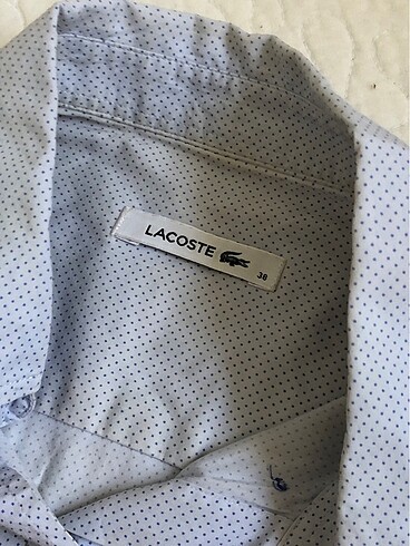 Lacoste Lacoste gömlek