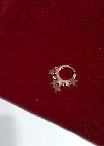 Yıldız pulDetaylı Mini Altın renkli Küpeler - Görsel 3