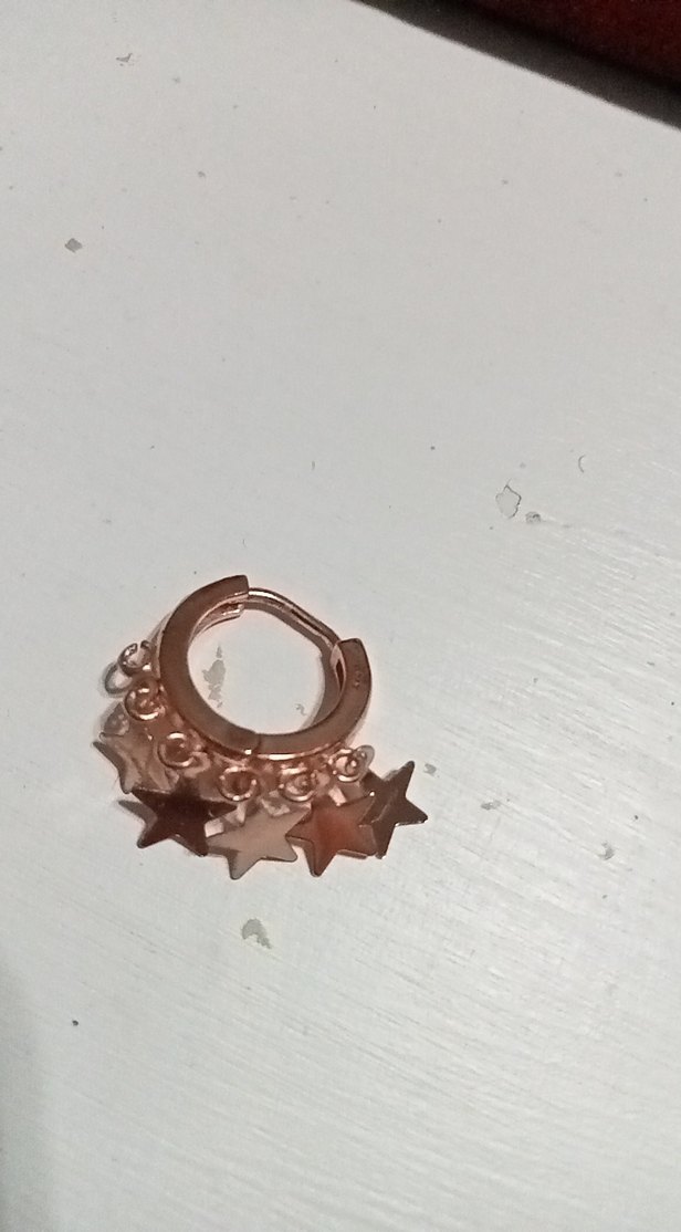 Yıldız pulDetaylı Mini Altın renkli Küpeler - Görsel 4