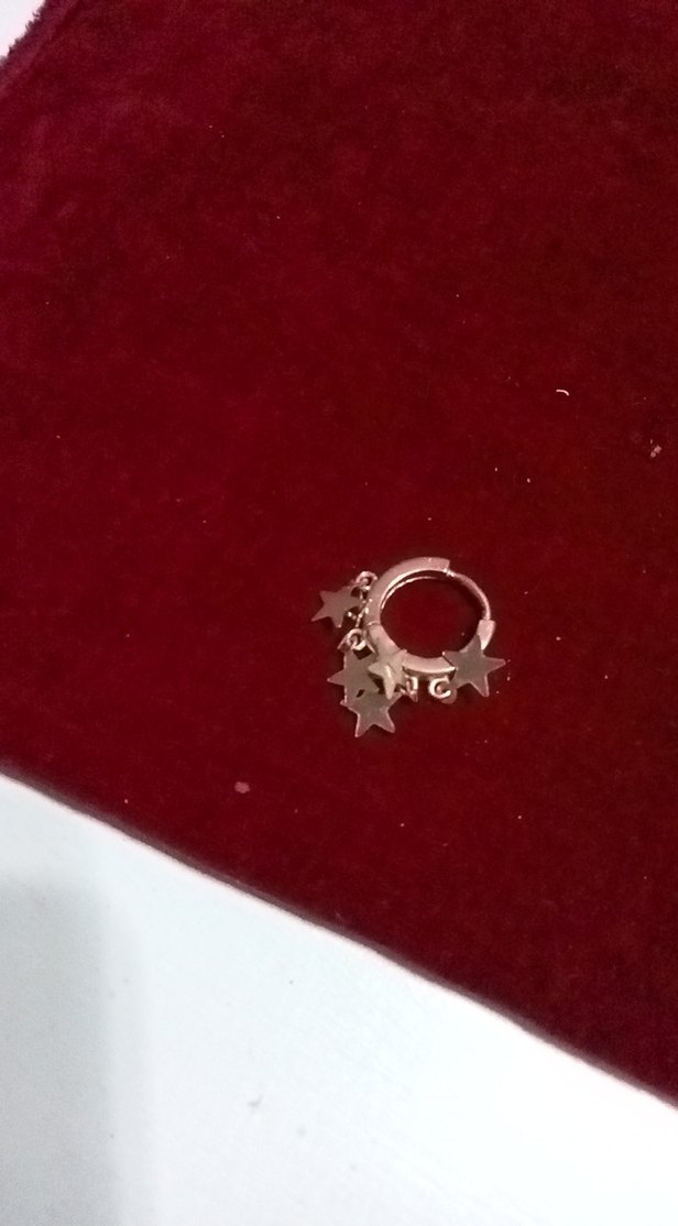 Yıldız pulDetaylı Mini Altın renkli Küpeler - Görsel 3