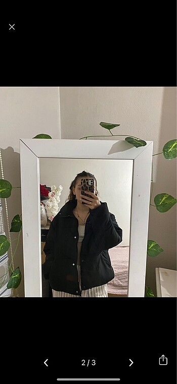 Zara Zara mont