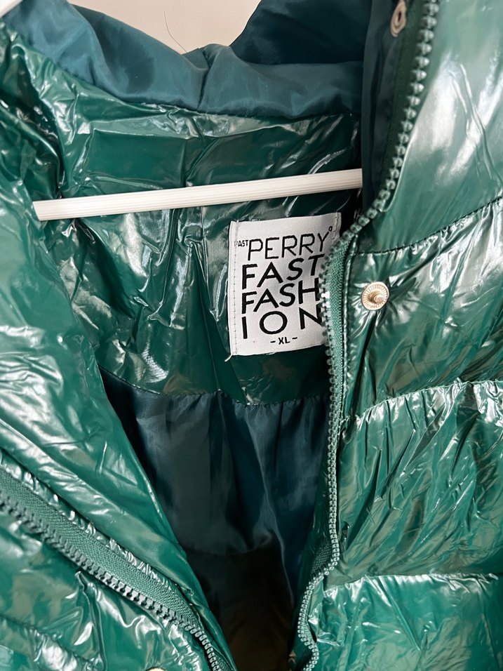 Yeşil Parlak Kadın Kışlık Mont - Görsel 3