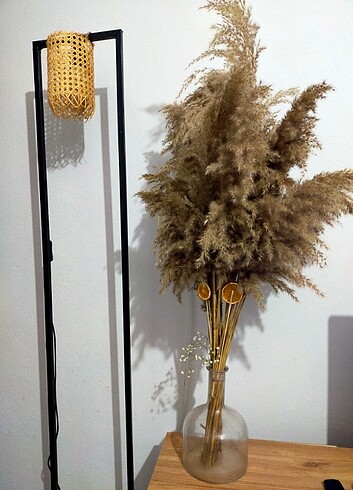 Pampas cicegi