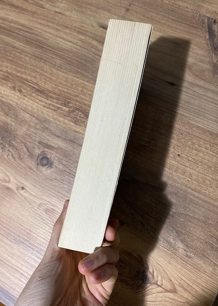 Kitap saraydan sürgüne - Görsel 2