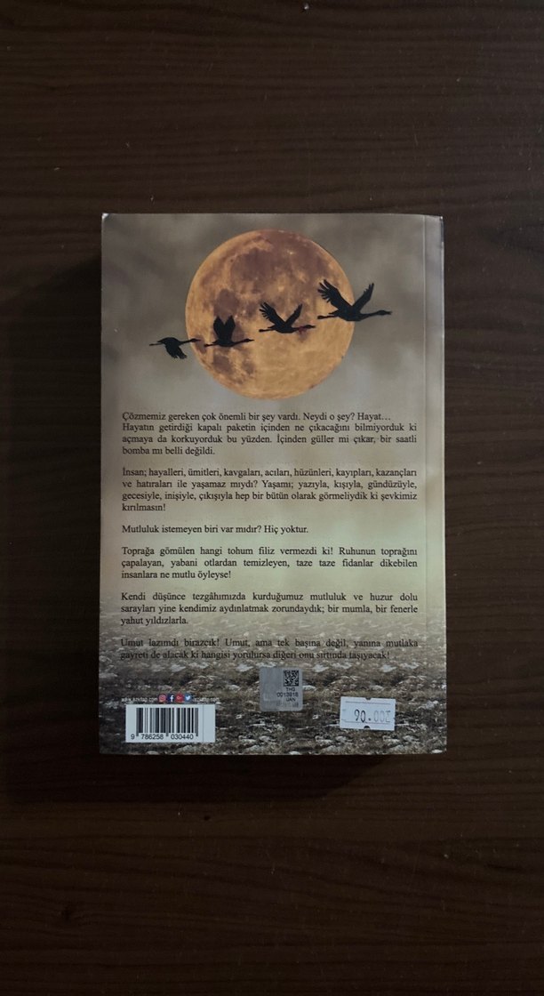 Düşkün Leylekler Evi - Songül Baş — görsel 2/2