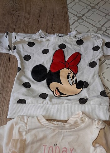 Walt Disney World Kullanıldı 