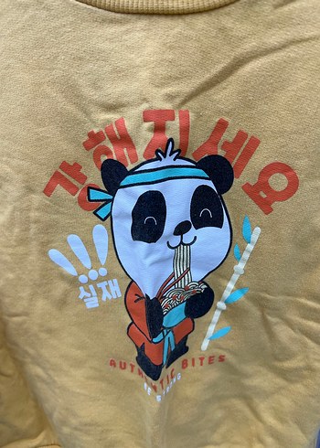 Panda Baskılı Unisex Çocuk Sweatshirt - Görsel 3