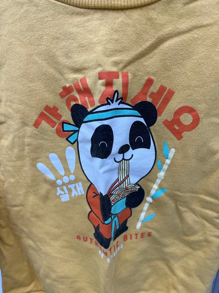 Panda Baskılı Unisex Çocuk Sweatshirt - Görsel 3