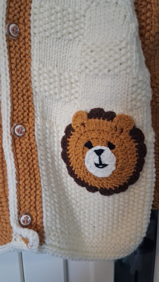 Kapüşonlu Erkek Çocuk Örgü Hırka - Görsel 2