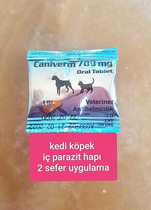 Kedi köpek parazit uygulaması 