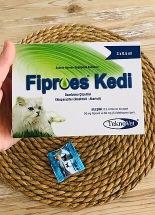 Kedi tuvaleti 