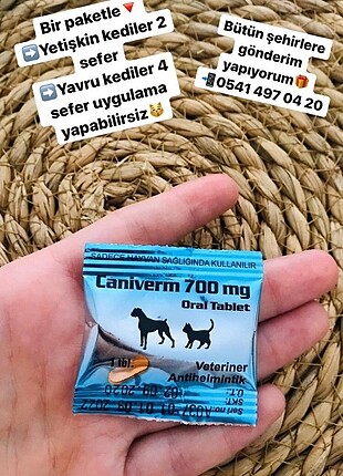 Kedi Kopek Ic Parazit Uygulama Mama 100 Indirimli Gardrops