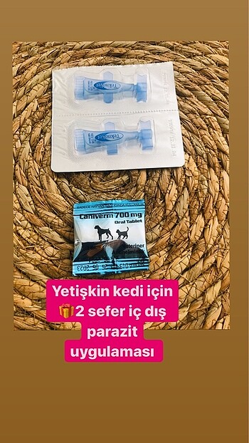 Kedi iç dış parazıt