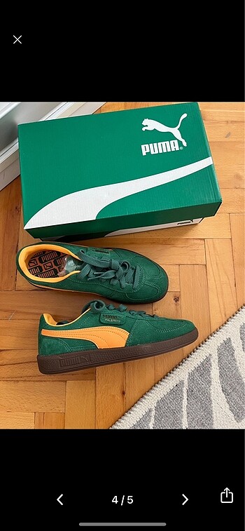 Puma puma palermo