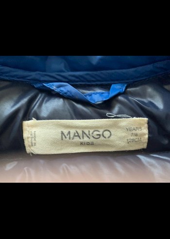 Parlak Mavi çocuk baharlık Mont kaztüyü - Görsel 3