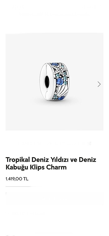 Deniz yıldızı ve deniz kabuğu klips