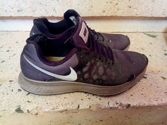 Nike zoom pegasus flash