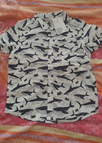 H&M Erkek Bebek Mavi Köpek Balığı Desenli Takım - Görsel 2