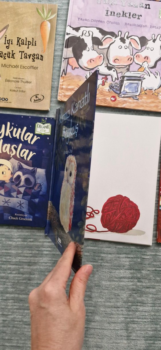 Çocuklar için 10 Kitap Seti - Görsel 2