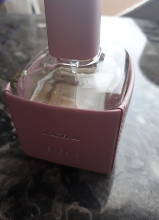 ZARA ORCID 100 ML PARFÜM Edp
