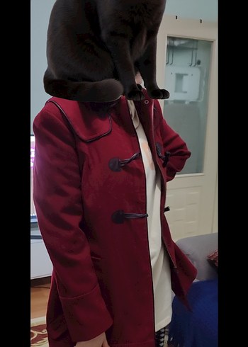 çok temiz yeni sadece kol düğmesi eksik - Görsel 2