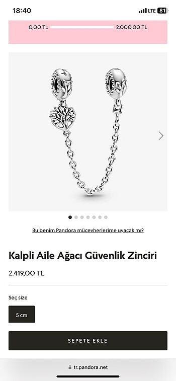 Pandora Charm