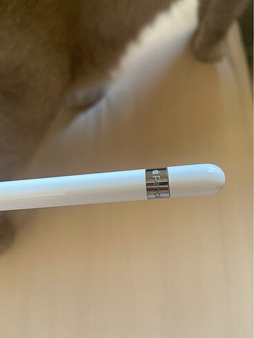 Apple Apple Pencil 1. Nesil Kalem