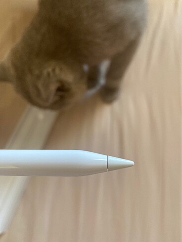 Beden Apple Pencil 1. Nesil Kalem