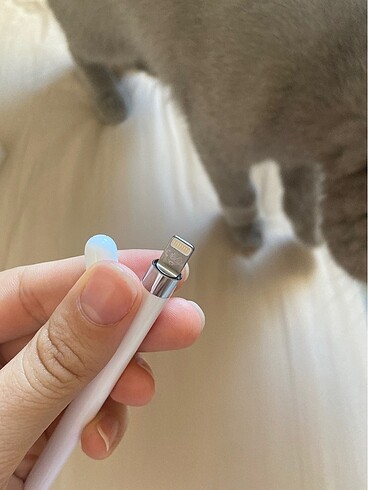 Beden Renk Apple Pencil 1. Nesil Kalem